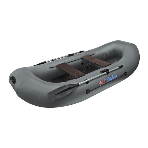 Лодка ProfMarine PM 300 серый