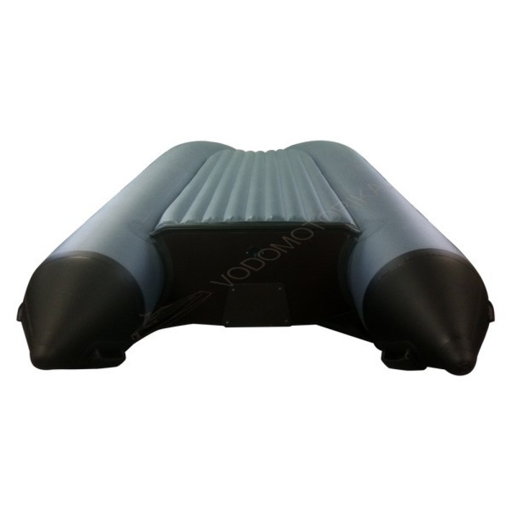 Надувная лодка ProfMarine РМ 300 Air Economic