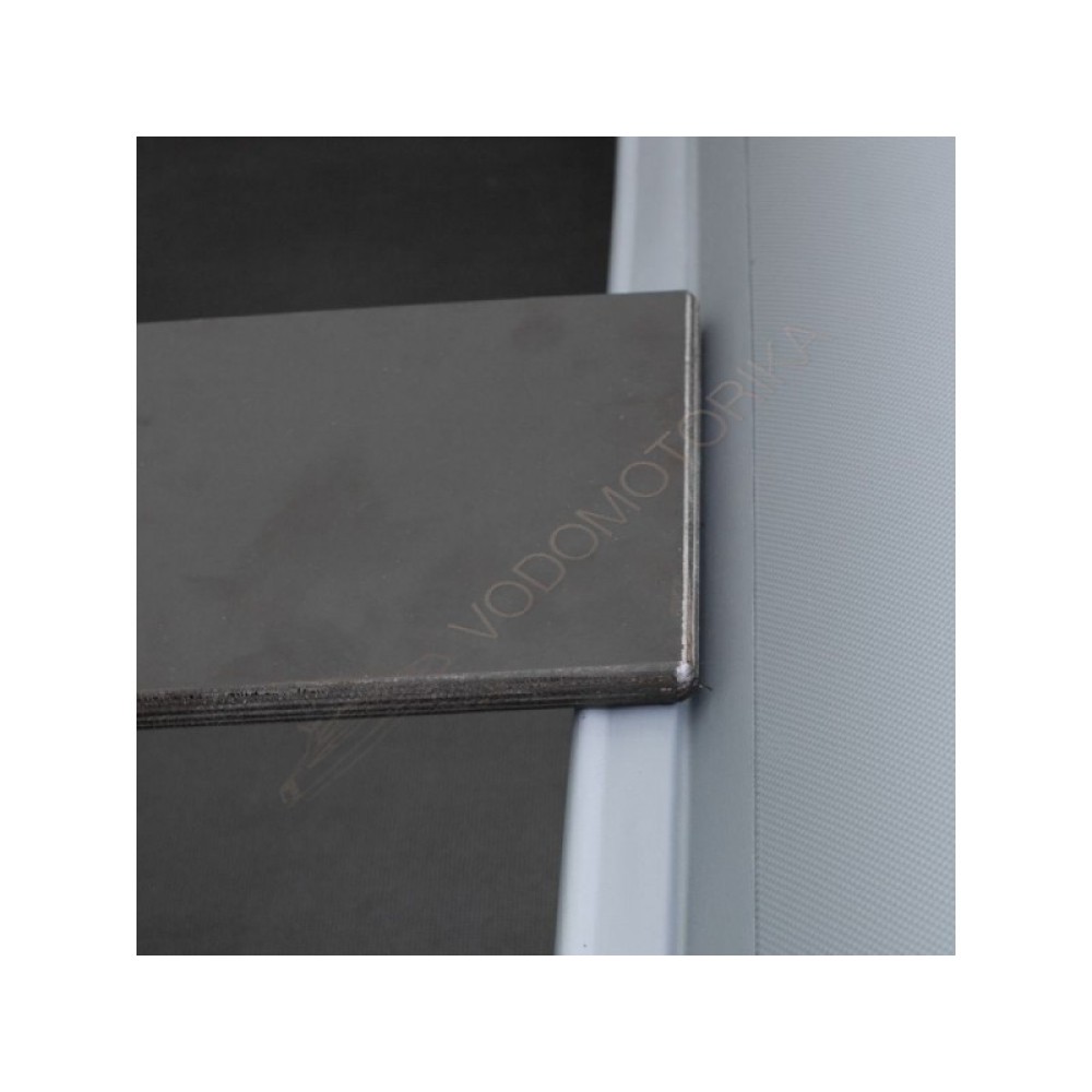 Надувная лодка Феникс 250