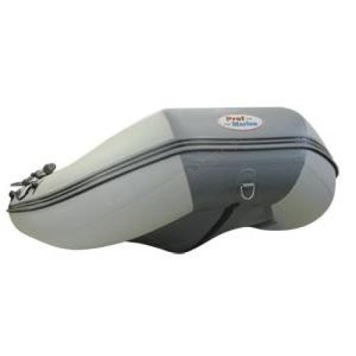 Надувная лодка ProfMarine PM 320 (CL) комби