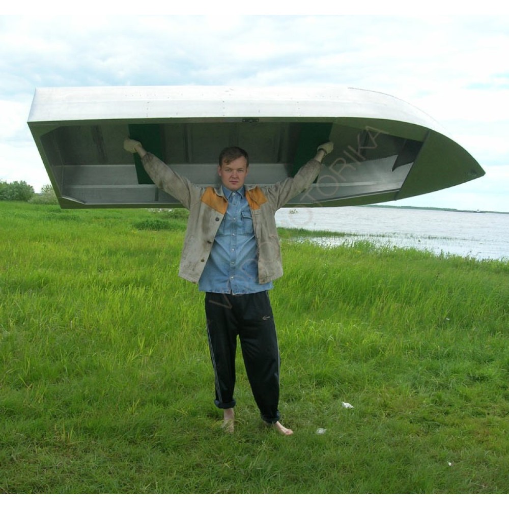 Алюминиевая лодка Малютка-Н 2.9м с булями