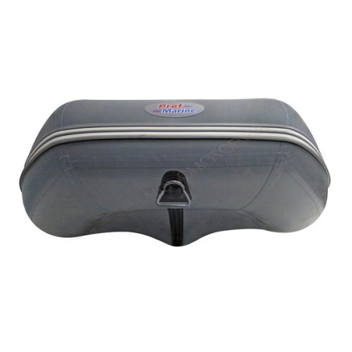 Надувная лодка ProfMarine PM 450 CL LUX