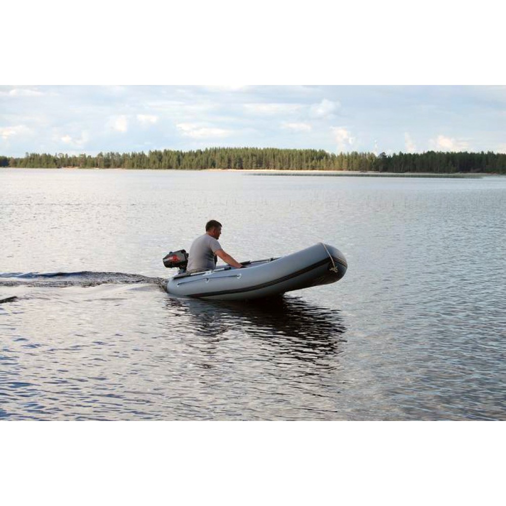 Лодка двухместная Stream Дельфин-2