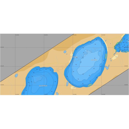 Карта Lowrance RS-N238