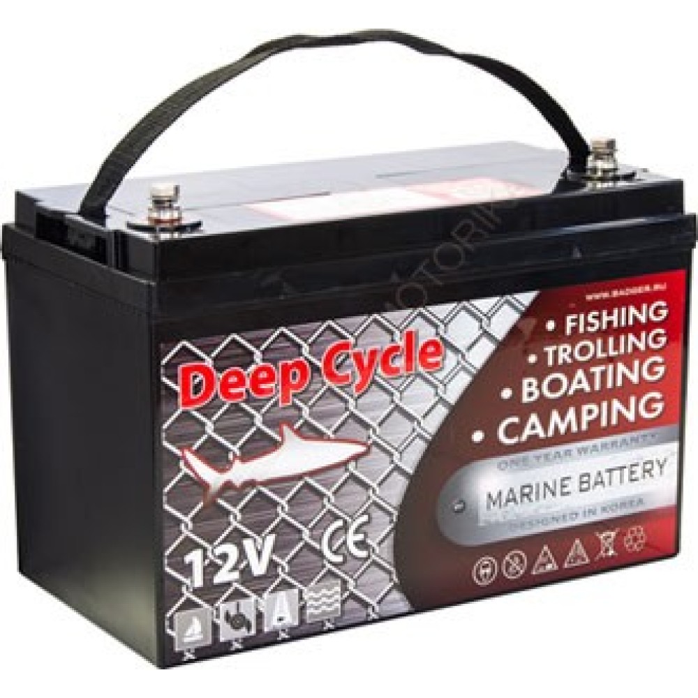 Аккумулятор глубокого разряда Marine Deep Cycle AGM 6FM100D-X