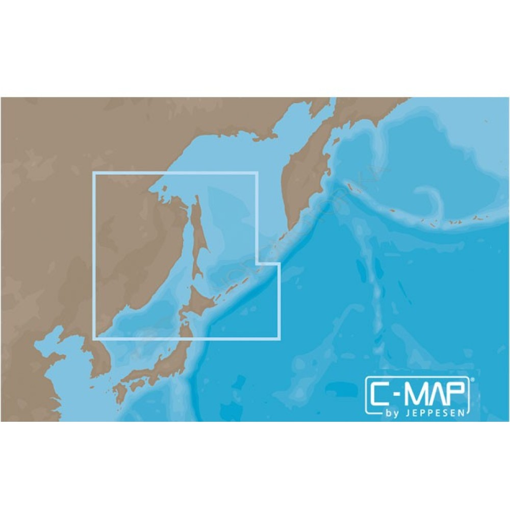 Карта Lowrance RS-N207