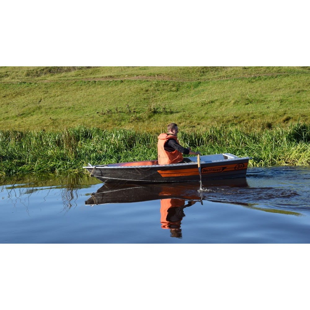 Алюминиевая лодка Wellboat-31