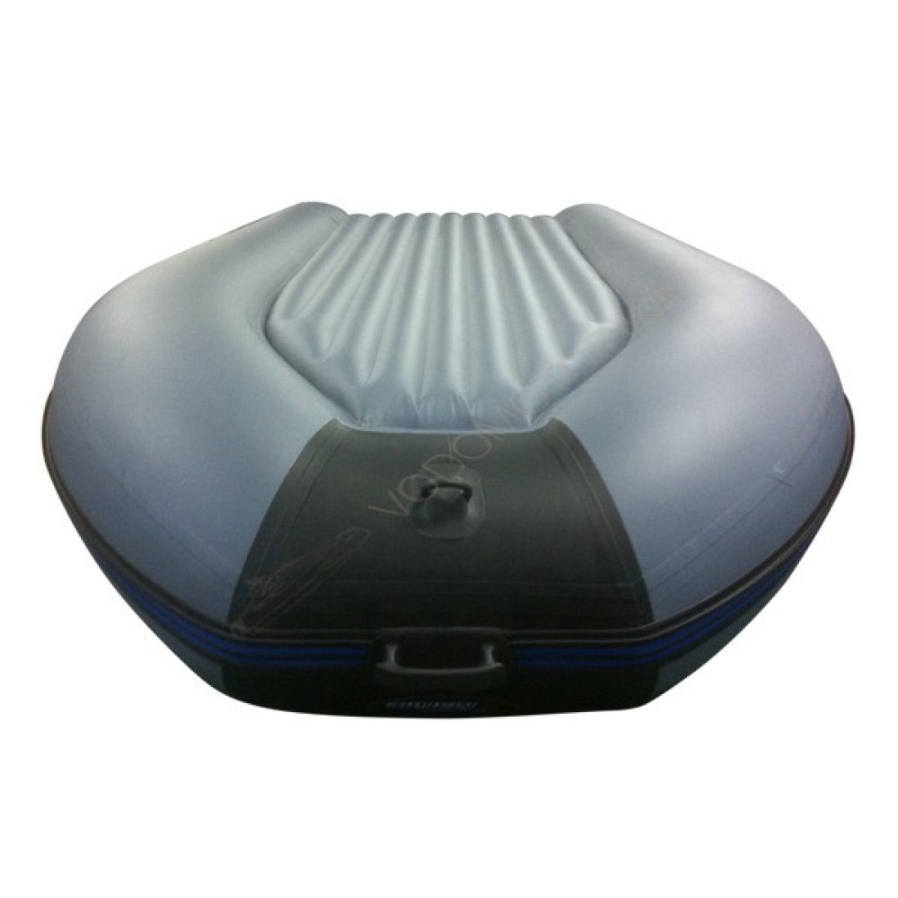 Надувная лодка ProfMarine РМ 280 Air Economic