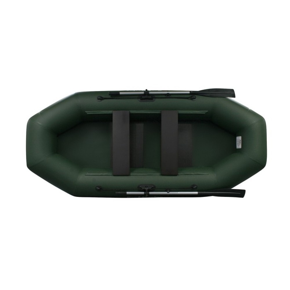 Лодка ProfMarine PM 280 зеленый